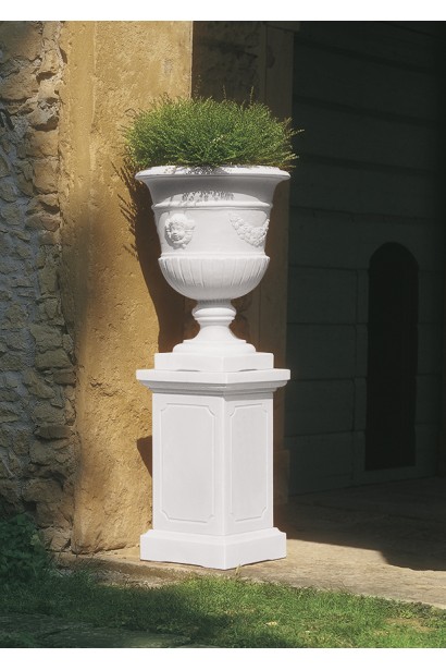 Жимолость шапкова в кашпо